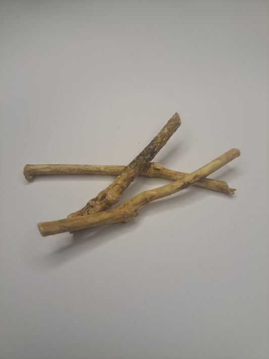 Traumwurzel Silene capensis