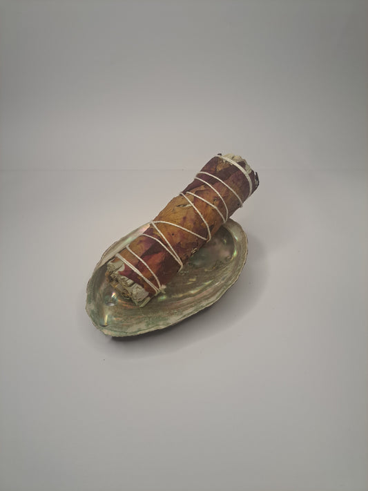 Abalone muchel