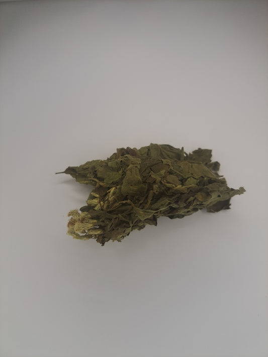 Dream herb Calea